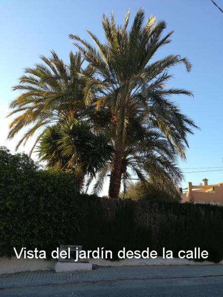 Sun & Palm Trees Daire Balsares Dış mekan fotoğraf