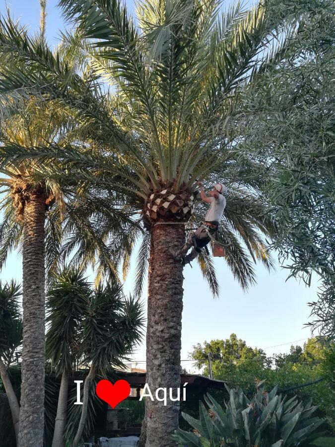 Sun & Palm Trees Daire Balsares Dış mekan fotoğraf