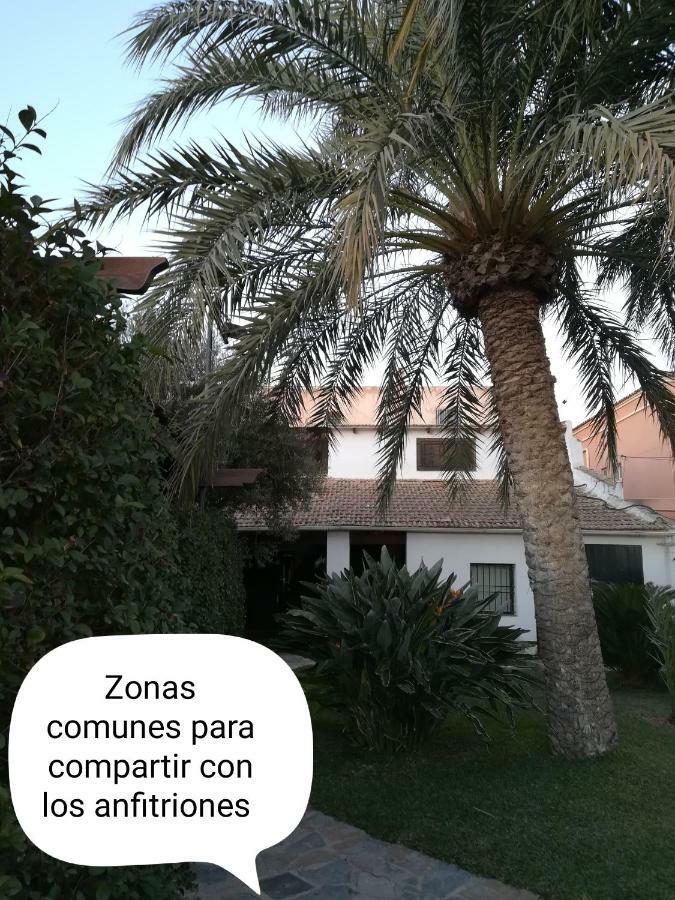 Sun & Palm Trees Daire Balsares Dış mekan fotoğraf